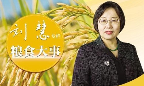 84消毒液洗衣服的正确用法-84消毒液给宝宝洗衣服网 - 84消毒液洗衣服能消毒吗,84消毒液兑水比例洗衣服